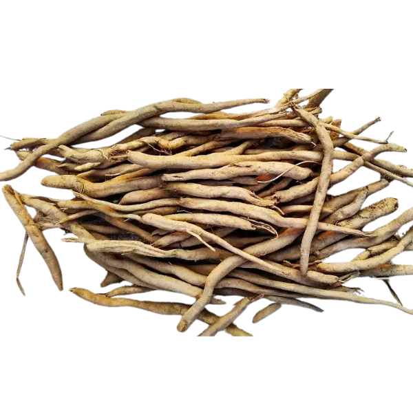 सफेद मूसली