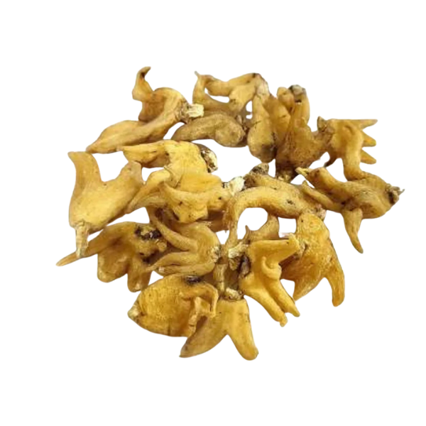 सलाम पंजा